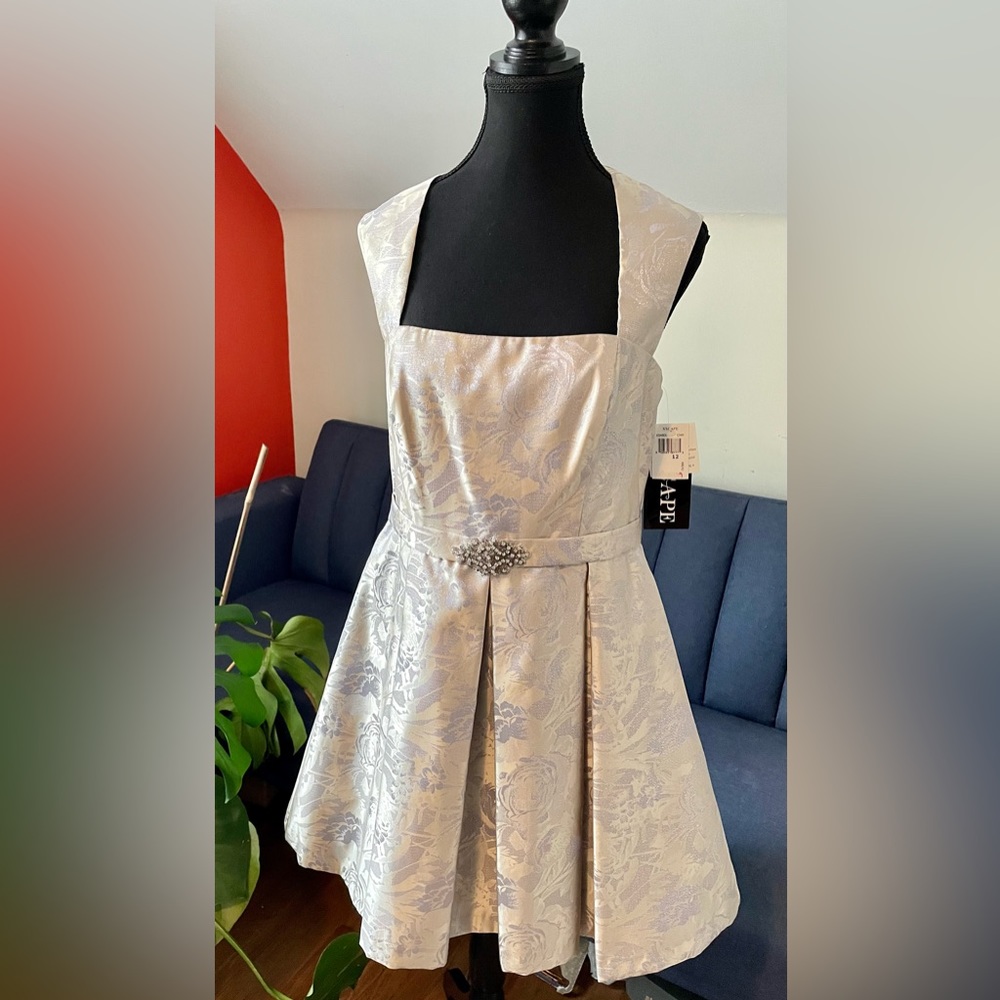 Xscape Special Occasion/Cocktail Dress